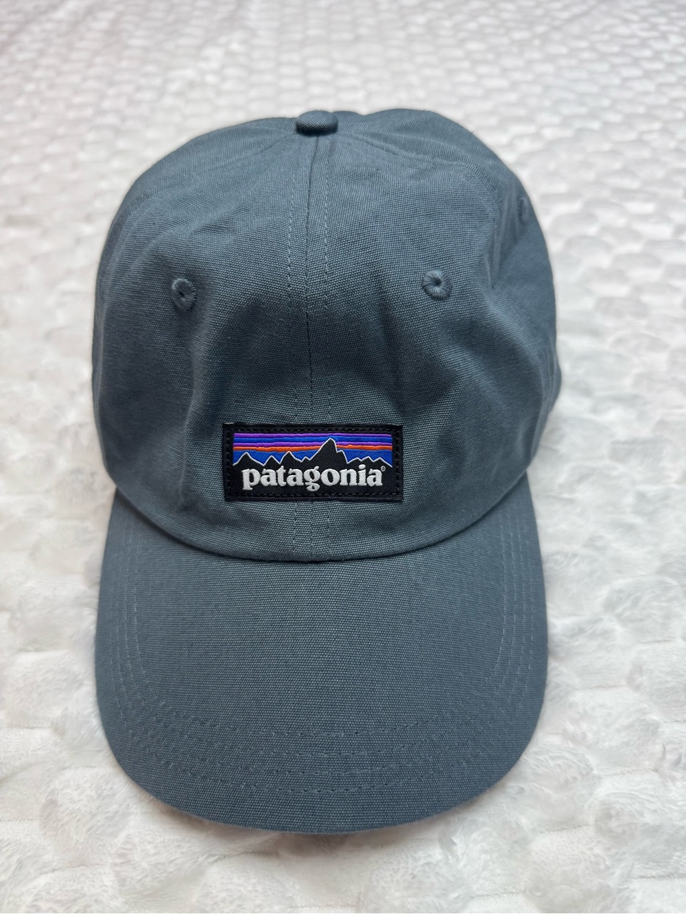 Patagonia Classic Logo Cap in Slate Blue
